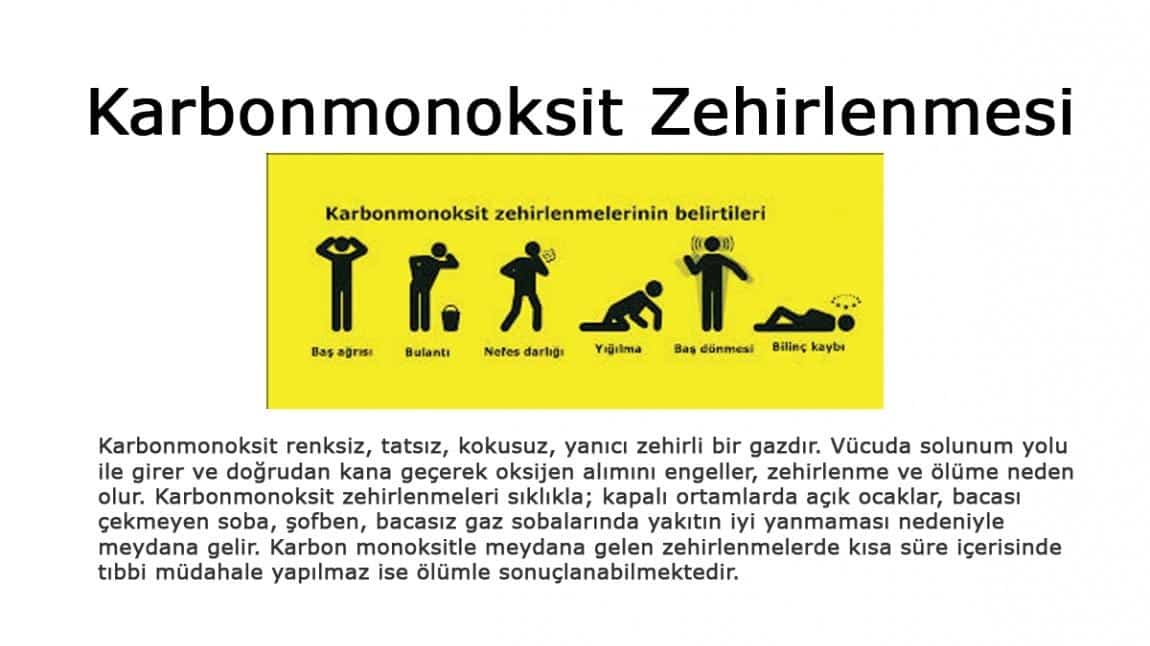 Karbonmonoksit Zehirlenmesi